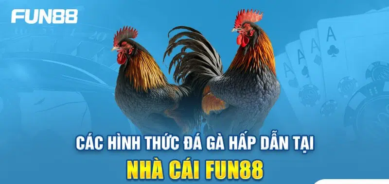 Kinh nghiệm đá gà online FUN88