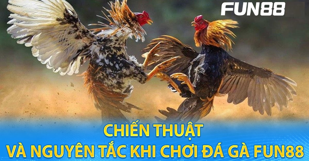 Tại sao trò chơi đá gà online FUN88 lại được yêu thích đến vậy?