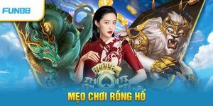 Cách tải game rồng hổ FUN88 ios và kinh nghiệm săn rồng hổ hấp dẫn