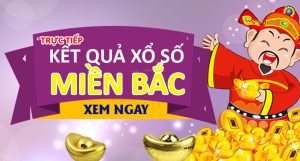 Tất Tần Tật Về Loại Hình Cá Cược Xổ số miền Bắc Cho Anh Em Tân Thủ